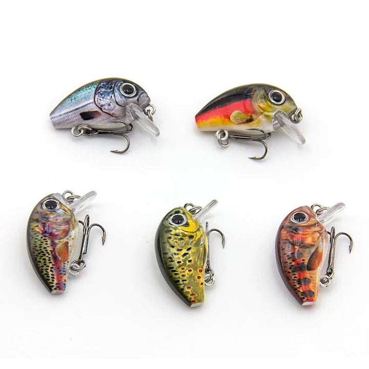 Set Momeli Mini pentru Pescuit