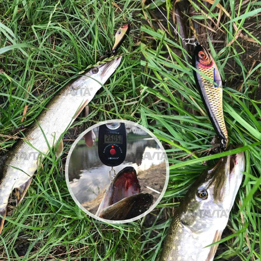 Setul Ultimate de Momeli Pescuit